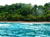 Beach and Rainforest